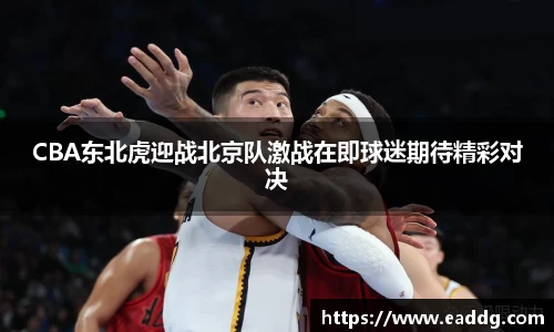 CBA东北虎迎战北京队激战在即球迷期待精彩对决